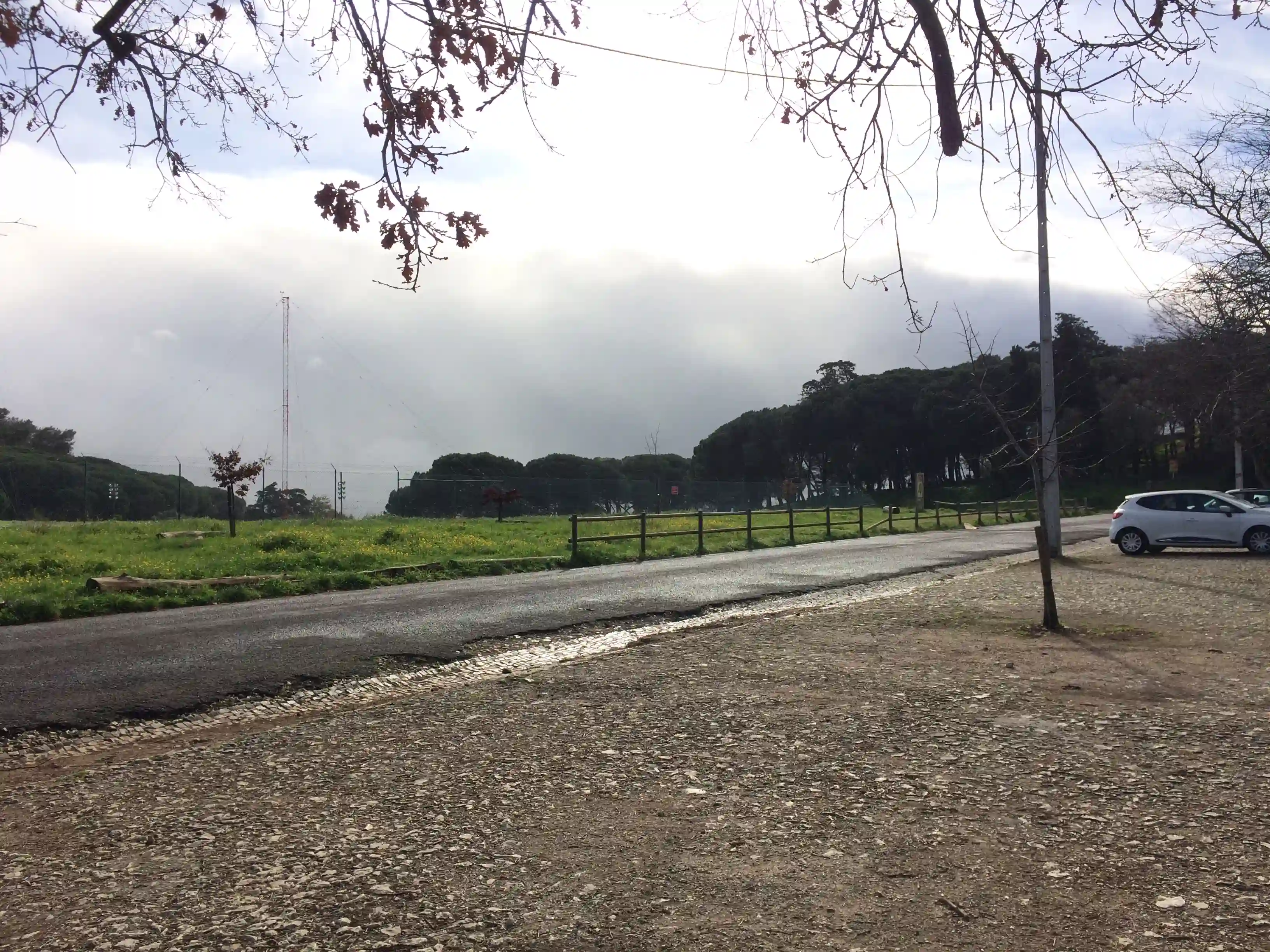 Galeria